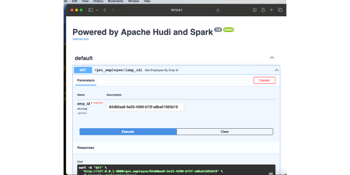 From Data lake to Microservices: Unleashing the Power of Apache Hudi's Record Level Index with FastAPI and Spark Connect